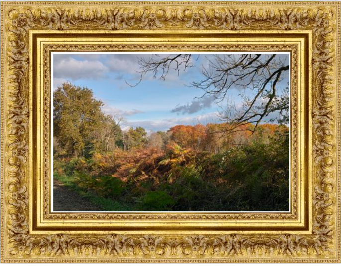 henri-peyre-des-arbres